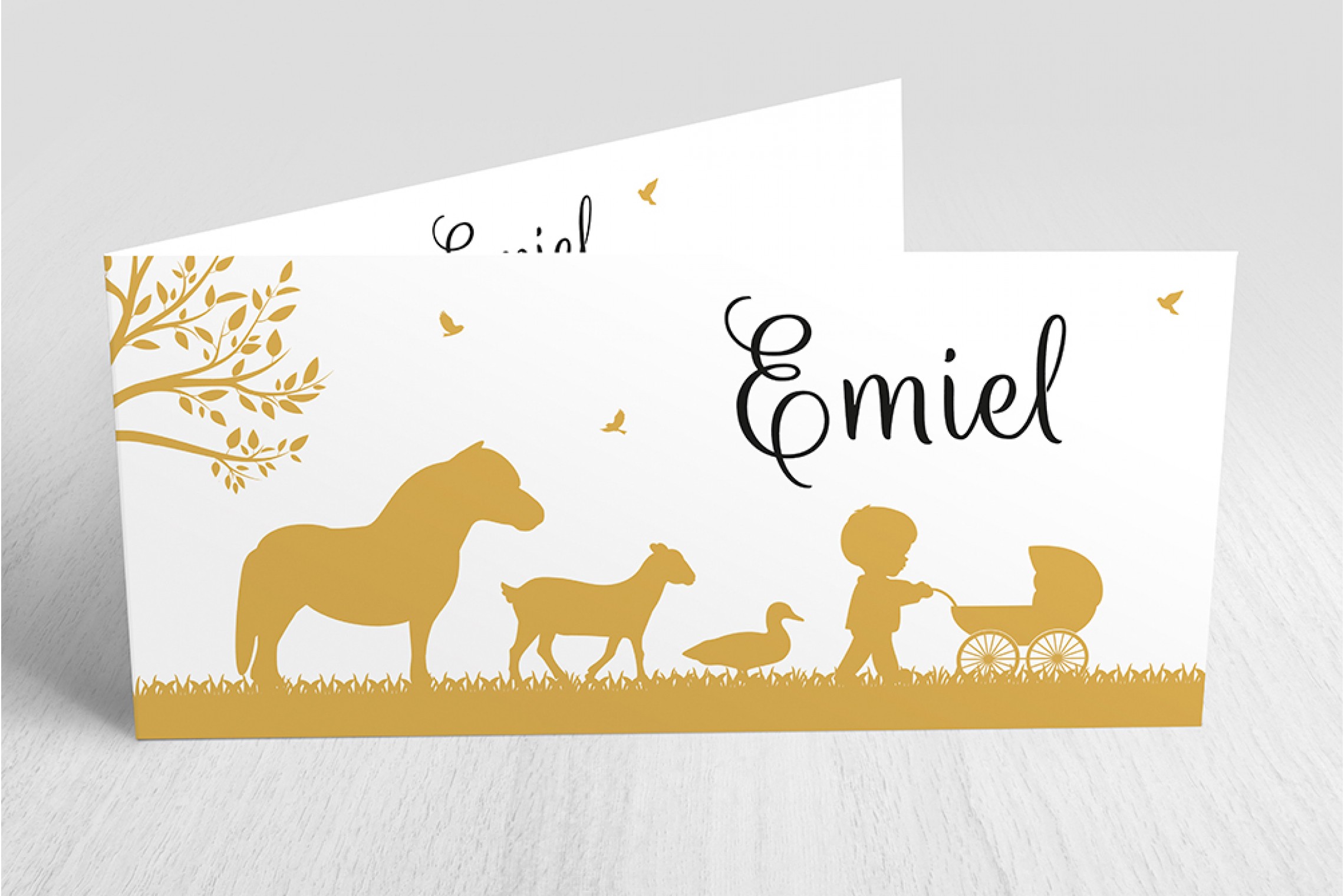 Jongen met kinderwagen